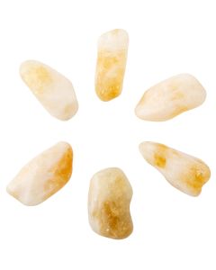 Citrine Heat Treated B Grade Jumbo Tumblestone 50-60mm, Brazil (250g) NETT