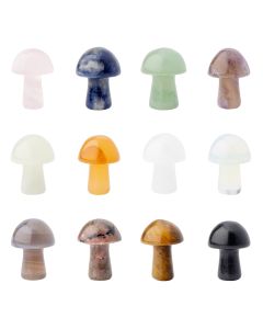 Gemstone Mushroom Assorted (12pcs) NFD