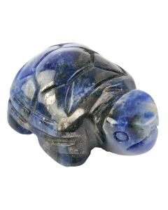 Sodalite Turtle Carving (1pc)