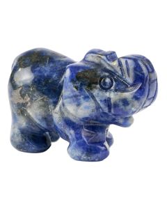 Sodalite Elephant Carving (1pc)