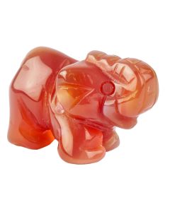 Carnelian Elephant Carving (1pc)