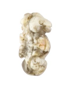 Crazy Lace Agate Sea Horse Carving (1pc)