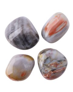 Petrified Wood Large Tumblestone 30-40mm, USA (100g) 