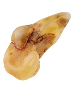 Amber Tumblestone 8-10g, Lithuania (1pc) NETT