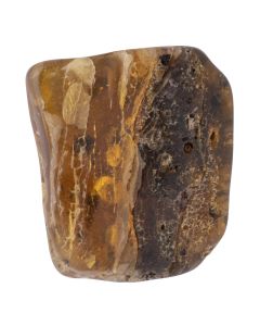 Amber Tumblestone 10-12g, Lithuania (1pc) NETT