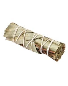 Eucalyptus Smudge Stick 4" (1pc) NFD