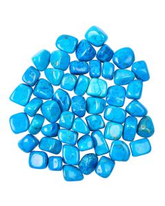 Blue Howlite (Dyed) Tumblestone Refill (50pcs) 