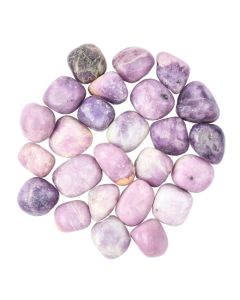 Lepidolite Deluxe Tumblestone Refill (25pcs) NETT