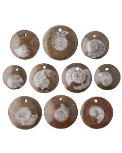 Goniatite Pendant with Hole, Morocco (10pcs) NETT