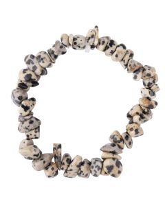 7.5" Dalmatian Jasper Chip Bracelet (1pc) NETT