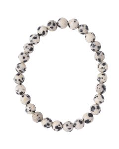 6mm Dalmatian Jasper Bead Bracelet (1pc) NETT