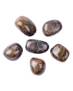 Stromatolite Medium Tumblestone 20-30mm (100g) NETT