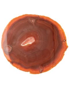 A5 Agate Slice Red (4" to 5") (1 Piece) NETT