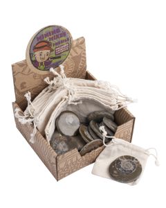 Mining Mike's Morocco Polished Ammonite Retail Box (20 Piece) NETT