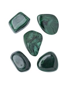 Malachite Large Tumblestone 30-40mm, DR of the Congo (100g) NETT