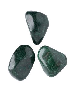 Malachite Extra Large Tumblestone 40-50mm, DR of the Congo (100g) NETT