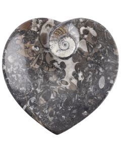 4.5" Ammonite Heart Dish (1pc) NETT