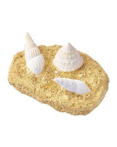 Gastropods in Matrix 2-3" (1pc)