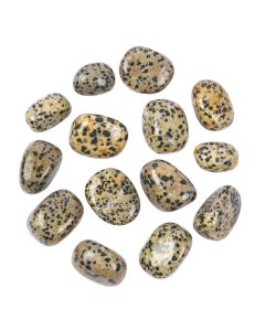 Jasper Dalmation (250g) 20-30mm Med Tumble NETT