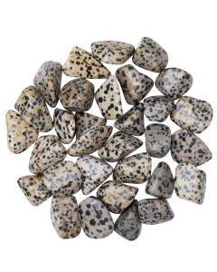 Jasper Dalmation (250g) 20-30mm Med Tumble NETT