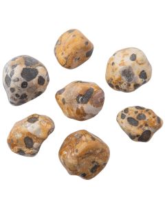 Leopard Stone Jasper Large Tumblestone 30-40mm, India (250g) NETT