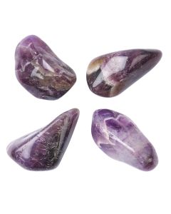 Amethyst Medium/Dark (100g) (SA Shape) 40-50mm XL Tumble NETT