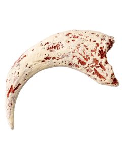 Resin Replica Velociraptor Claw (25pcs) NETT