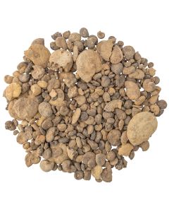 Fossil Mix (1kg) (Was  £18 Now £9) NETT