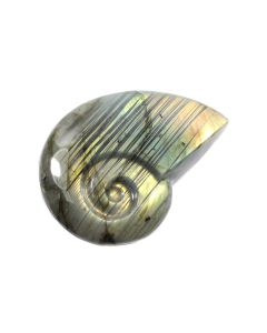 Labradorite Ammonite 3-3.5&quot; (1 Piece) NETT