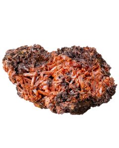 Crocoite Specimen in Box (Toxic) (1 Piece) NETT