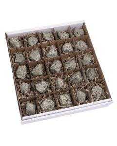 Pyrite (Fools Gold) (25 Piece) NETT