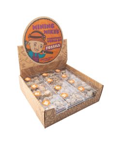 Mining Mike's A Prehistoric World Retail Box (24 Piece) NETT