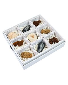 Mixed Fossil Gift Boxed with ID Card (9 Piece) NETT
