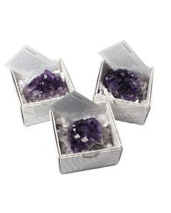 Brazilian Amethyst Cluster Gift Boxed with ID Card (9 Piece) NETT