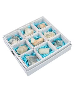 Mixed Zeolites Gift Boxed with ID Card (9 Piece) NETT