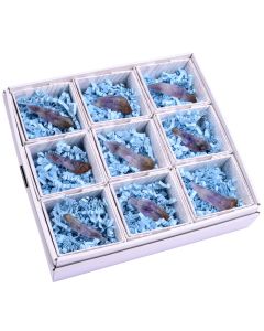 Cacoxenite Seed Crystal in Gift Box, Brazil (9pcs) NETT