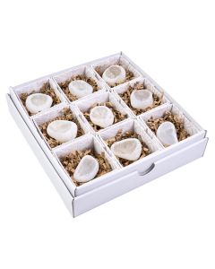 Quartz Dragon Eggs in Gift Box with ID Card (9pcs) NETT