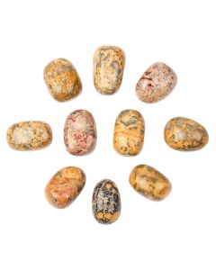 Leopard Skin Jasper Tumblestone Starter Pack Refill (10pc) NETT