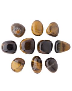 Leo, Tiger Eye Birthstone Tumblestone (10pcs) NETT