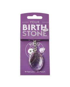 PISCES Amethyst Birthstone Keyring with Charm (3pc) NFD