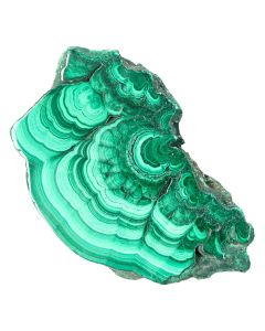 Malachite Slice in Gift Box (1pcs) NETT