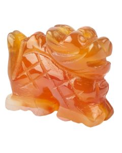 Carnelian Dragon Carving (1pc)