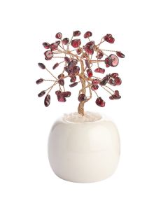 Garnet Gem Tree in Flowerpot (1pc) NFD