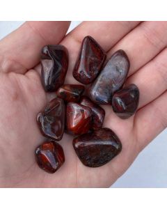 Mary Ellen Stromatolite Jasper 20-40mm (50g) NETT