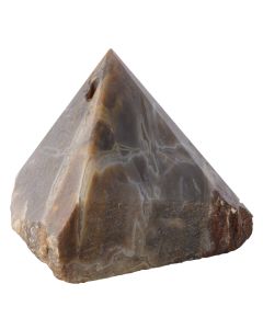 Petrified Wood Polished Point Incense Holder, India (1pc) 