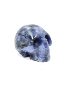 2" Skull Carving Sodalite (1 Piece) NETT