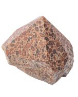Leopard Skin Jasper Top Polished Point 200-300g, India (1pc) 