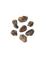 Autumn Leaf Jasper Tumblestone, South Africa (KGS) NFD
