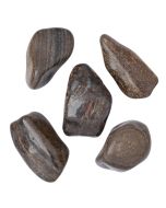 Bronzite Extra Large Tumblestone 40-50mm, Brazil (250g) NETT