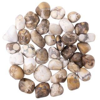 Spotted Agate 10-20mm (250g) Small Tumblestone NFD